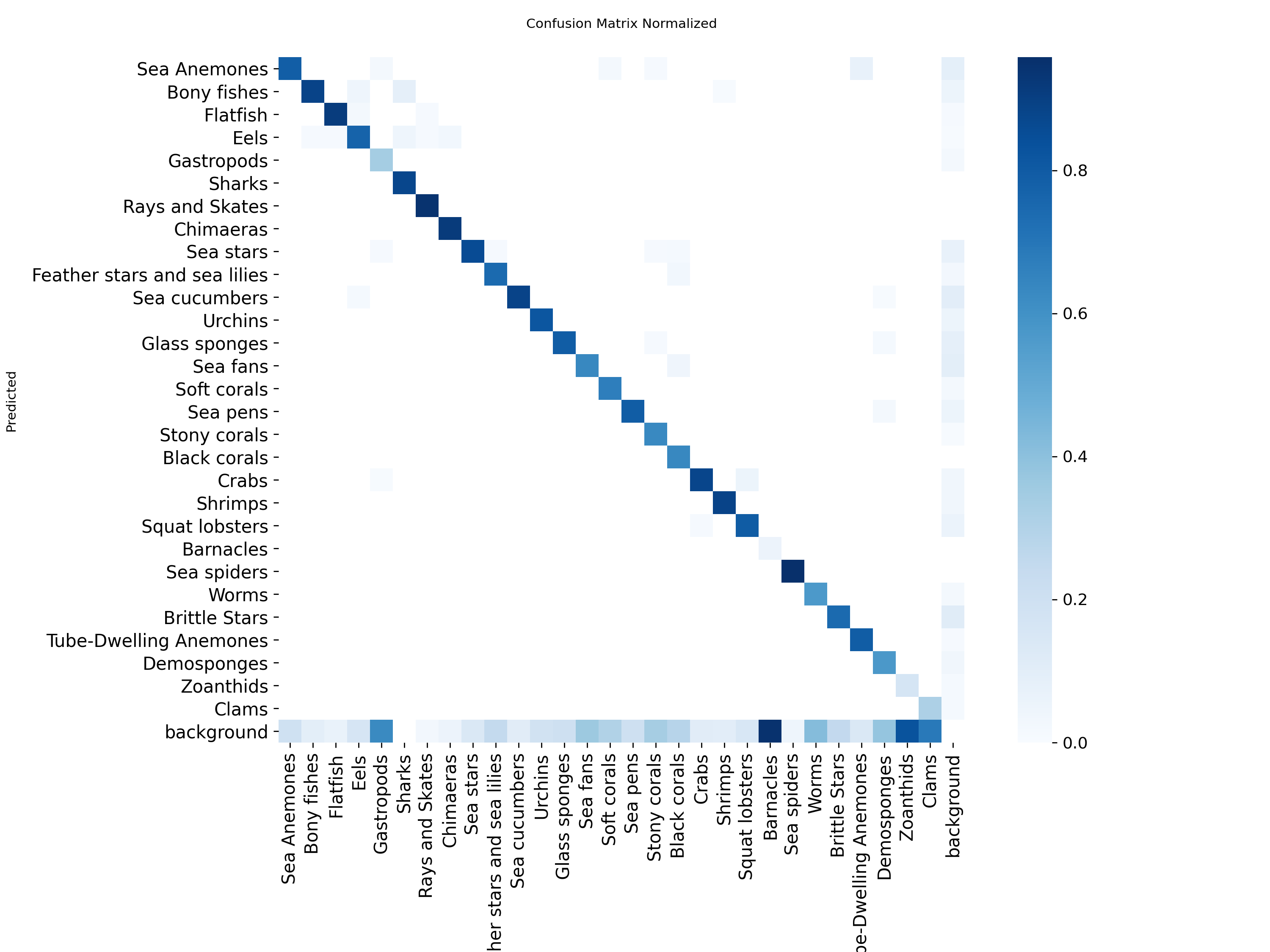 confusion_matrix_normalized.png