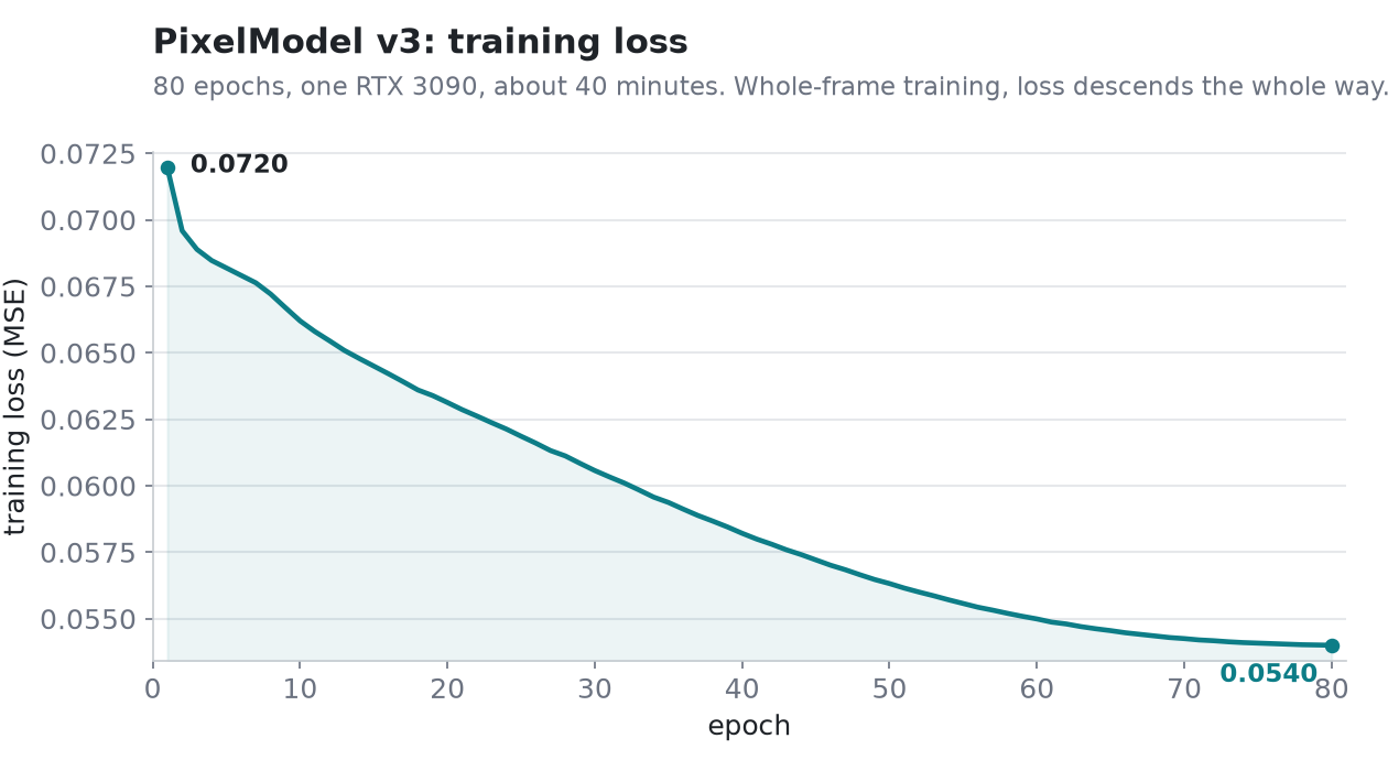 training loss