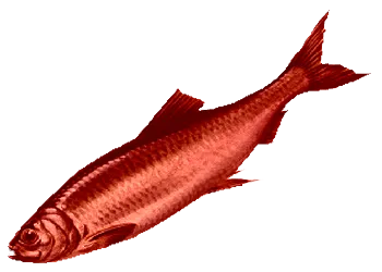 red_herring1.webp