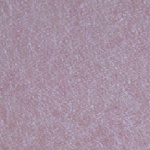 124.jpg