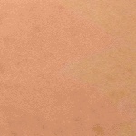 141.jpg