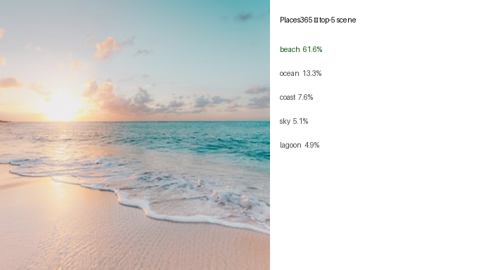 Places365 — image | top-5 scenes (on-device LiteRT GPU)