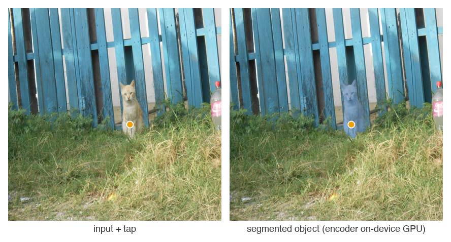 SAM 2.1 β tap to segment via the LiteRT image encoder (on-device GPU)