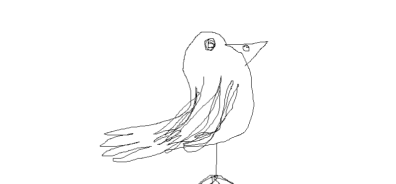 bird.bmp