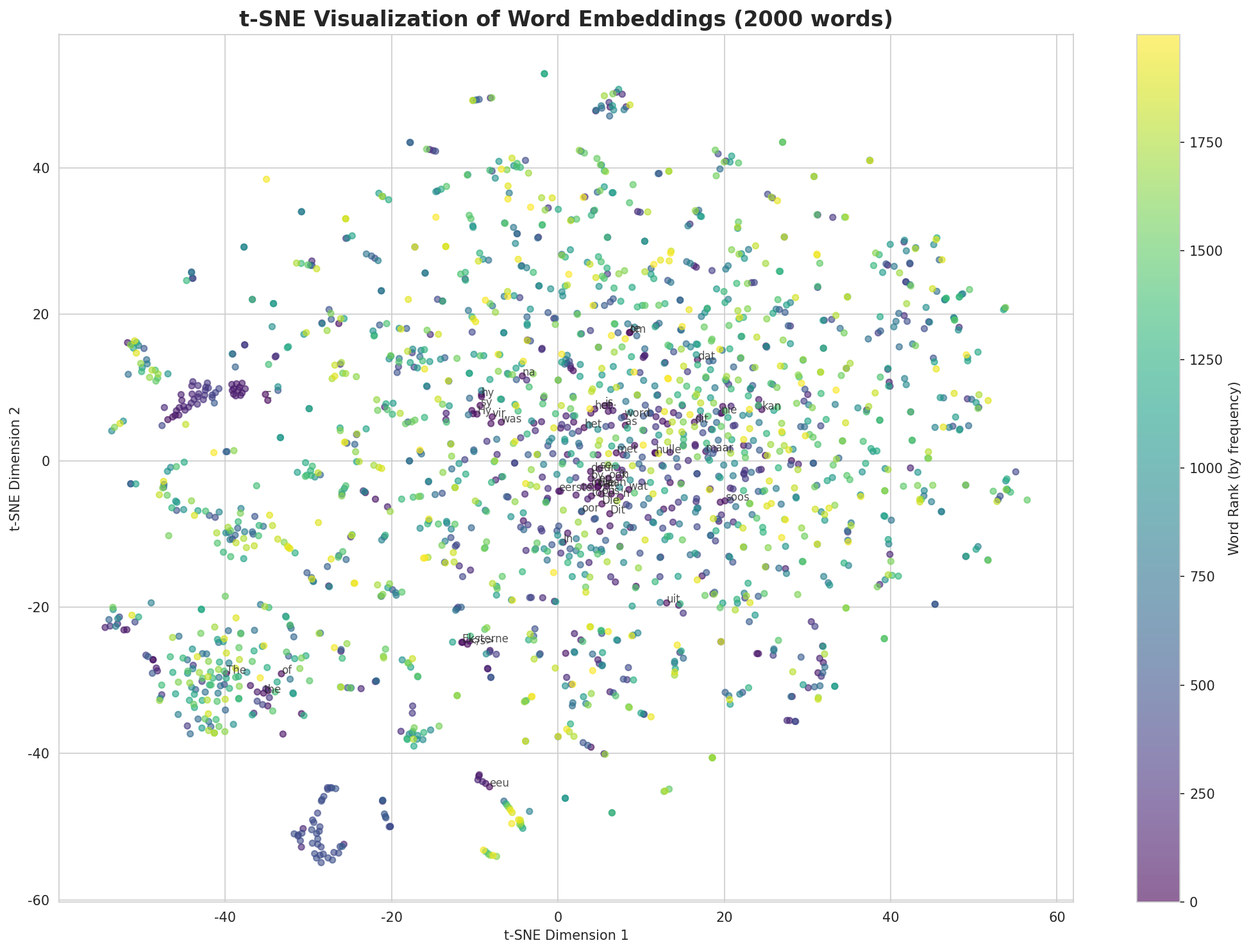 t-SNE Words