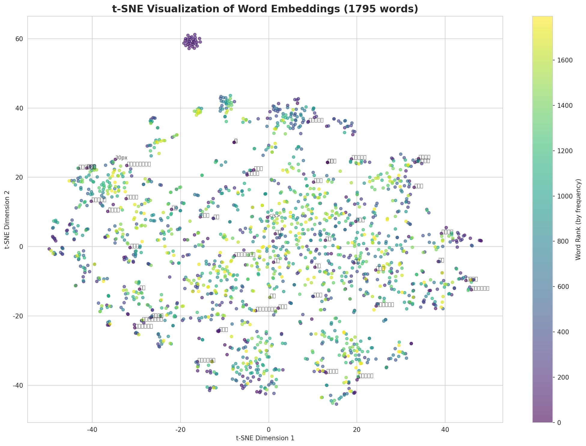 t-SNE Words