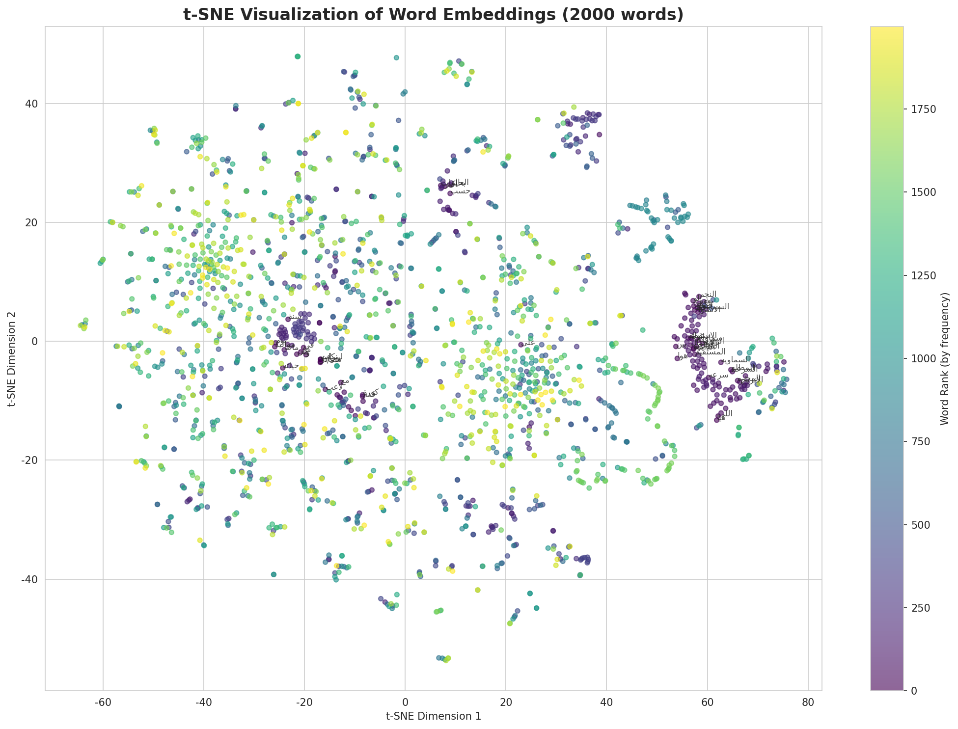 t-SNE Words