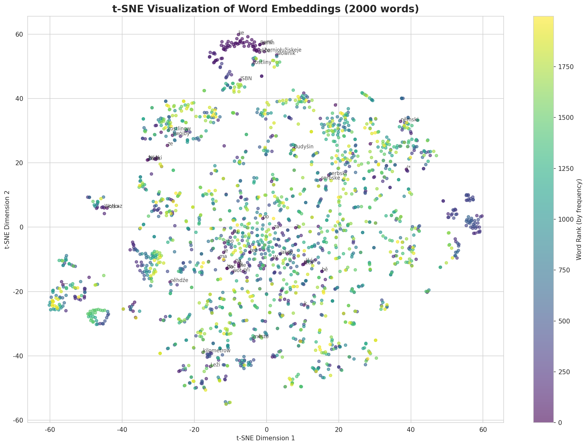 t-SNE Words