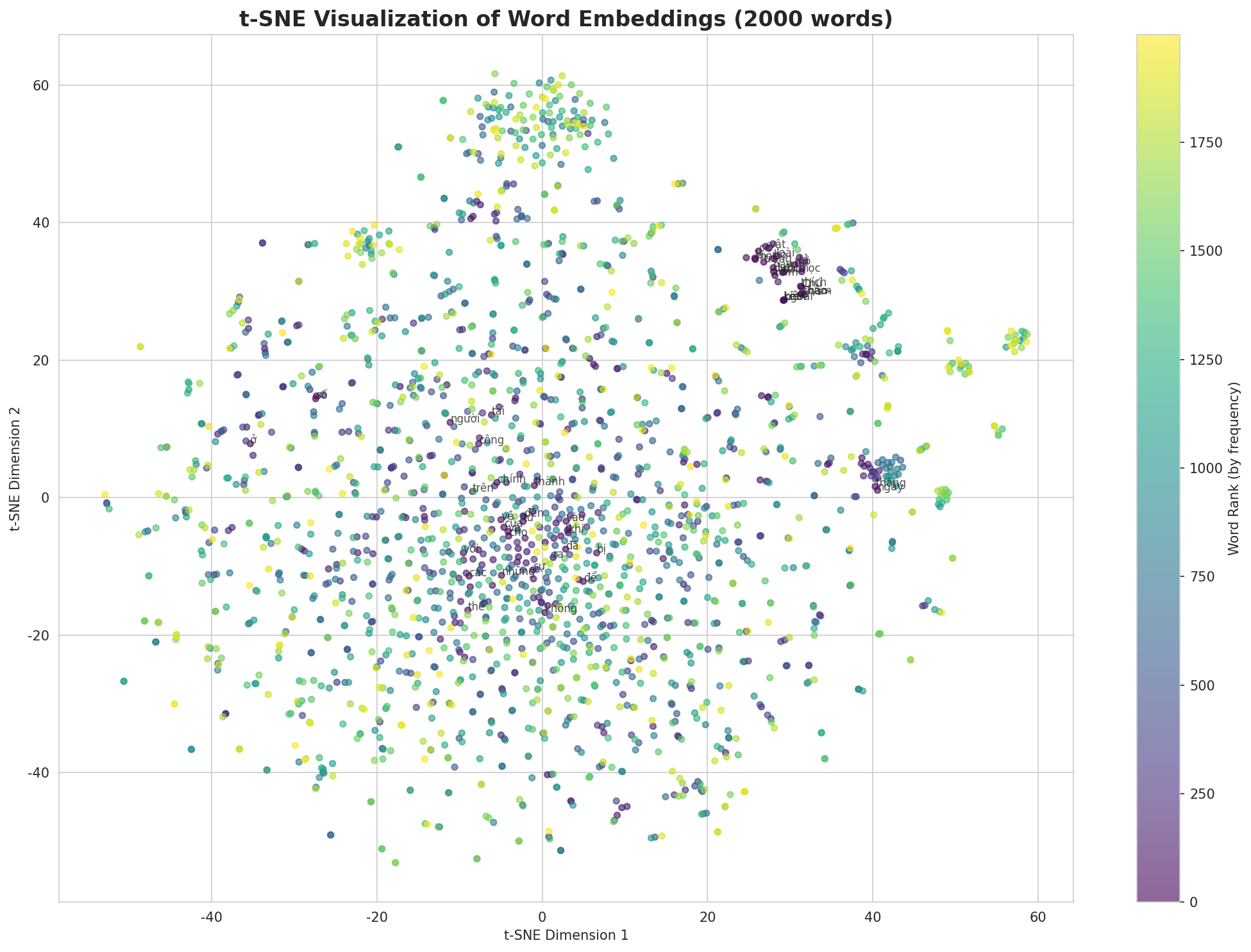 t-SNE Words