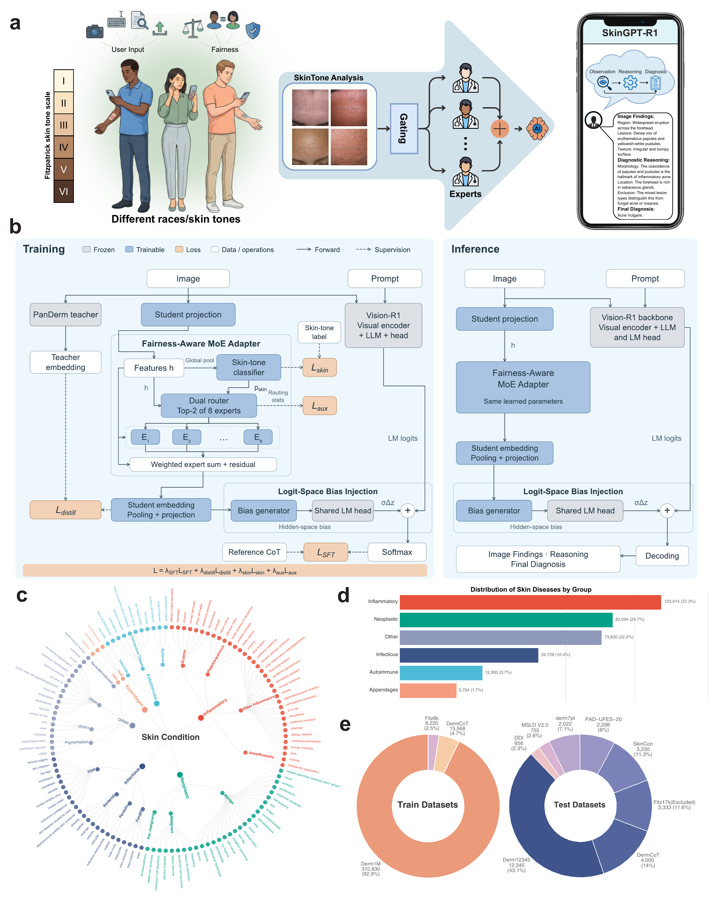 Revised Figure 1. SkinGPT-R1 overview and training and inference architecture.